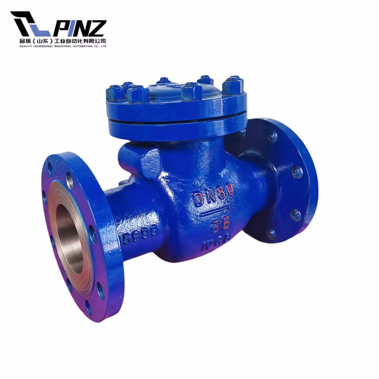 Pn16 Чугунный корпус с фланцем, бесшумный поворотный подъемный шар с двойной пластиной, обратный клапан, обратный клапан